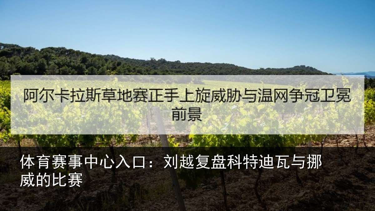 体育赛事中心入口:刘越复盘科特迪瓦与挪威的比赛