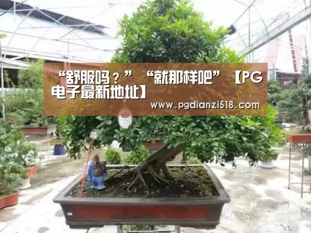 “舒服吗?”“就那样吧”【PG电子最新地址】(图3) PG电子最新地址