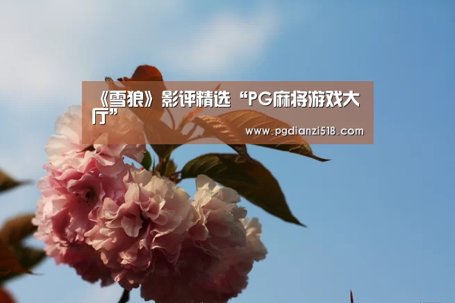 《雪狼》影评精选“PG麻将游戏大厅”(图1) PG娱乐中心