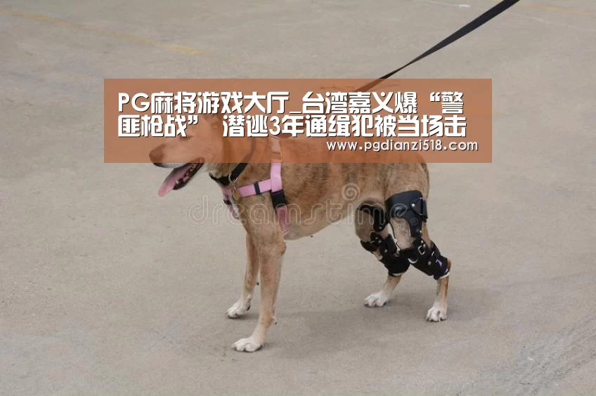 PG麻将游戏大厅_台湾嘉义爆“警匪枪战” 潜逃3年通缉犯被当场击毙(图1) PG麻将游戏大厅