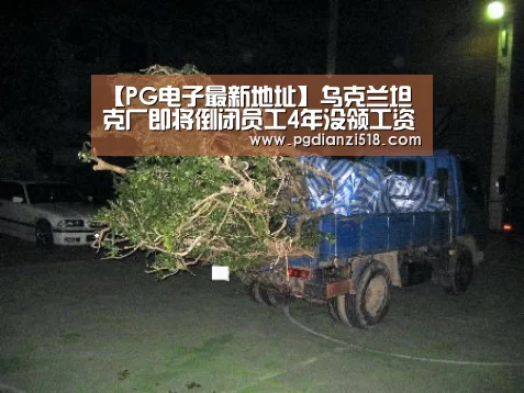 PG官方入口